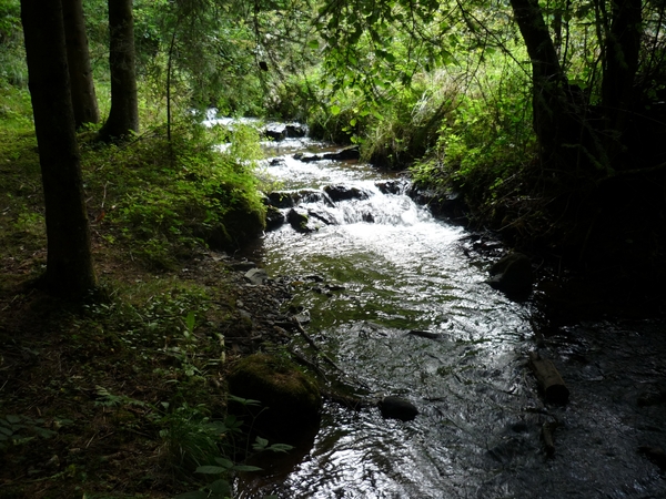 09.08.28.ZENDSCHEID KLATEREND WATER