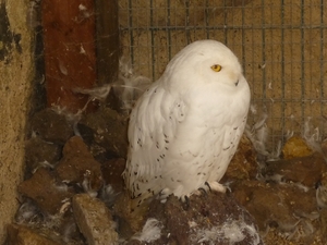 09.08.30.GEROLSTEIN:NATUURPARK MENEER DEN UIL