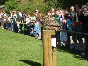 09.08.30.GEROLSTEIN:NATUURPARK EVEN RUSTEN