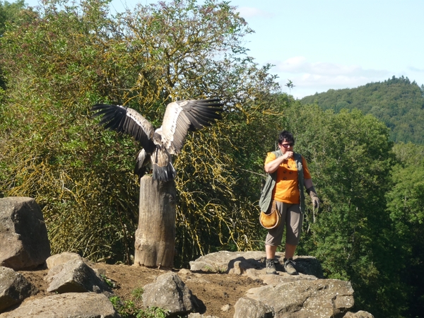 09.08.30.GEROLSTEIN:NATUURPARK WAT EEN VLEUGELS !