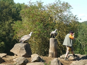 09.08.30.GEROLSTEIN:NATUURPARK DE 2 GIEREN