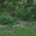 09.08.30.GEROLSTEIN:NATUURPARK DE WOLVEN TUSSEN HET GROEN