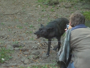 09.08.30.GEROLSTEIN:NATUURPARK SMAKELIJK!