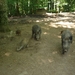 09.08.30.GEROLSTEIN:NATUURPARK LIEVE BEESTJES