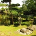 Japanse tuin 06-08-09 090