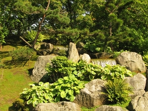 Japanse tuin 06-08-09 104