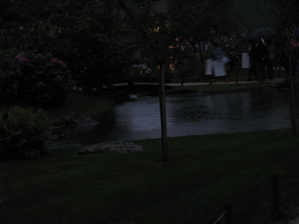 Nocturne Japanse tuin 007