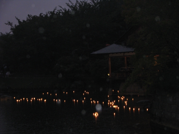 Nocturne Japanse tuin 017