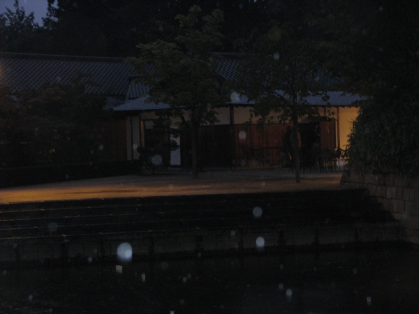 Nocturne Japanse tuin 019
