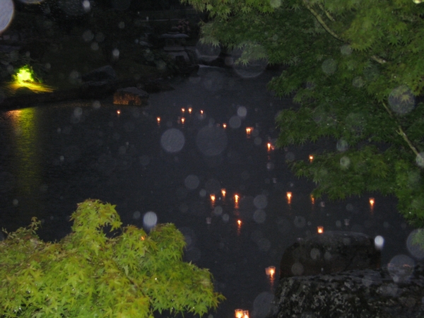 Nocturne Japanse tuin 020