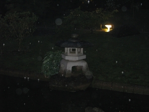 Nocturne Japanse tuin 027
