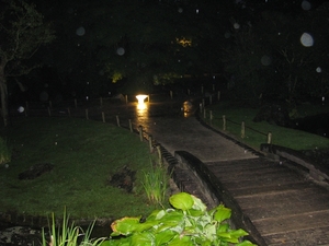 Nocturne Japanse tuin 031