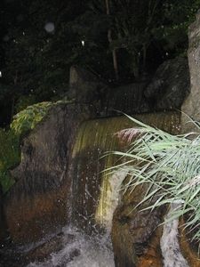 Nocturne Japanse tuin 034