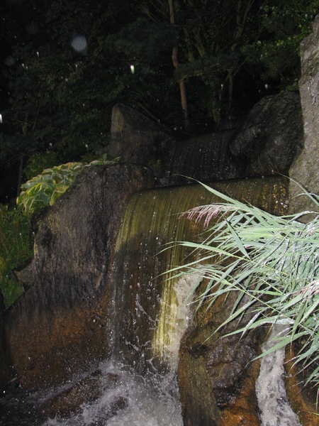 Nocturne Japanse tuin 034