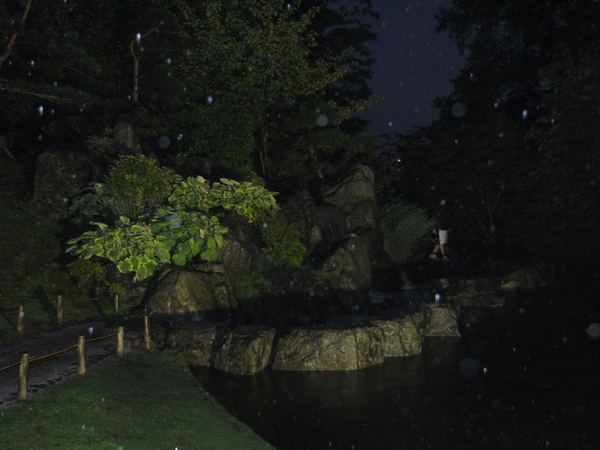 Nocturne Japanse tuin 035