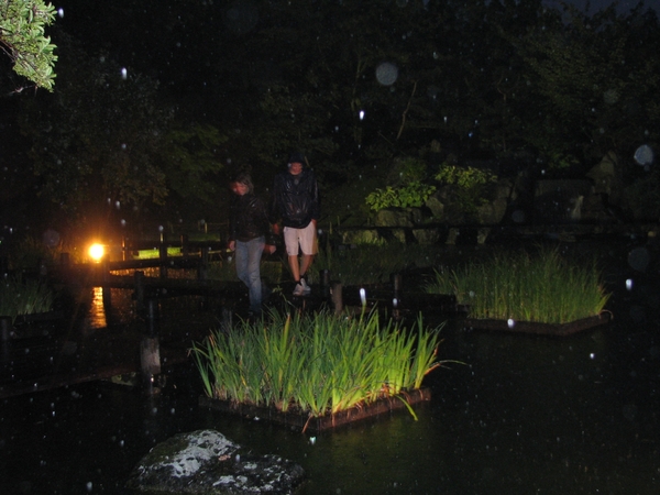 Nocturne Japanse tuin 038