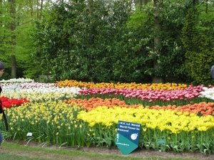 Keukenhof 23-04-2009 003