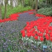 Keukenhof 23-04-2009 008