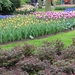 Keukenhof 23-04-2009 009