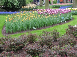 Keukenhof 23-04-2009 009