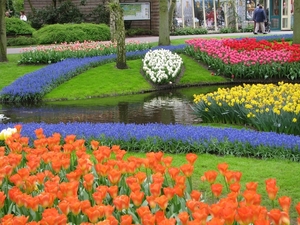 Keukenhof 23-04-2009 010