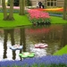 Keukenhof 23-04-2009 011