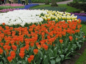 Keukenhof 23-04-2009 012