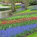 Keukenhof 23-04-2009 013