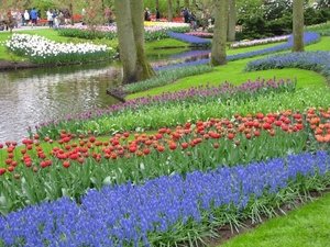 Keukenhof 23-04-2009 013