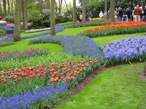 Keukenhof 23-04-2009 014