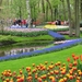 Keukenhof 23-04-2009 017