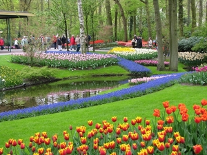 Keukenhof 23-04-2009 017