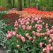 Keukenhof 23-04-2009 023