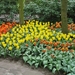 Keukenhof 23-04-2009 025