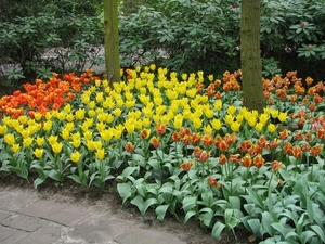 Keukenhof 23-04-2009 025