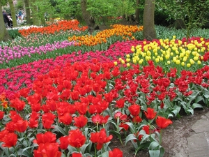 Keukenhof 23-04-2009 027