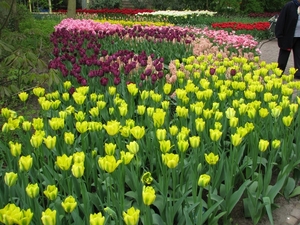 Keukenhof 23-04-2009 035