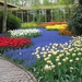 Keukenhof 23-04-2009 036