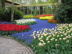 Keukenhof 23-04-2009 036