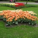 Keukenhof 23-04-2009 045