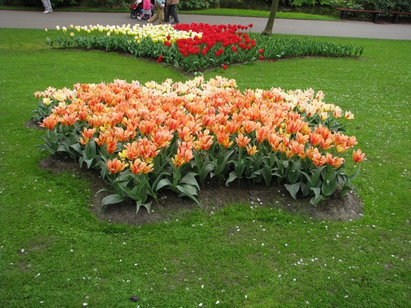 Keukenhof 23-04-2009 045