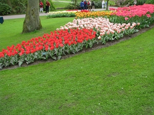 Keukenhof 23-04-2009 046