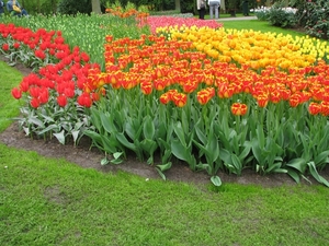 Keukenhof 23-04-2009 047