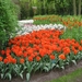 Keukenhof 23-04-2009 049