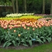 Keukenhof 23-04-2009 051