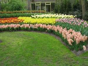 Keukenhof 23-04-2009 052