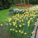 Keukenhof 23-04-2009 053