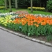 Keukenhof 23-04-2009 054