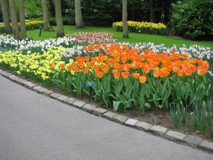 Keukenhof 23-04-2009 054