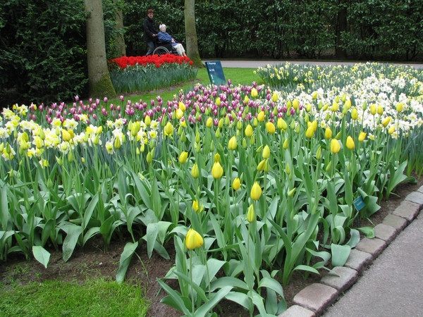 Keukenhof 23-04-2009 063